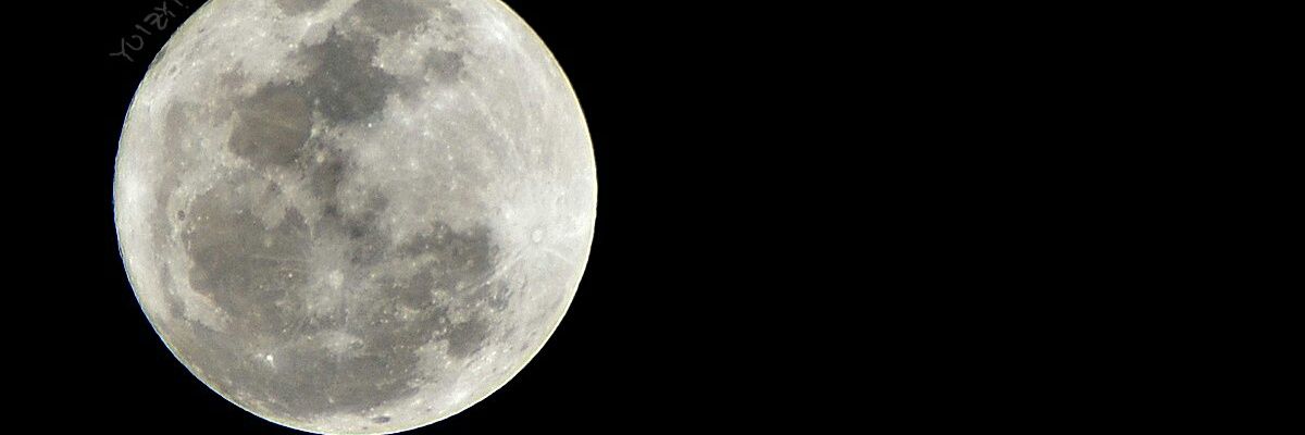moonoy banner