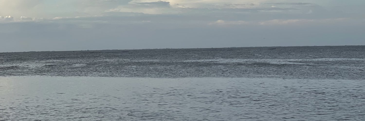 P banner