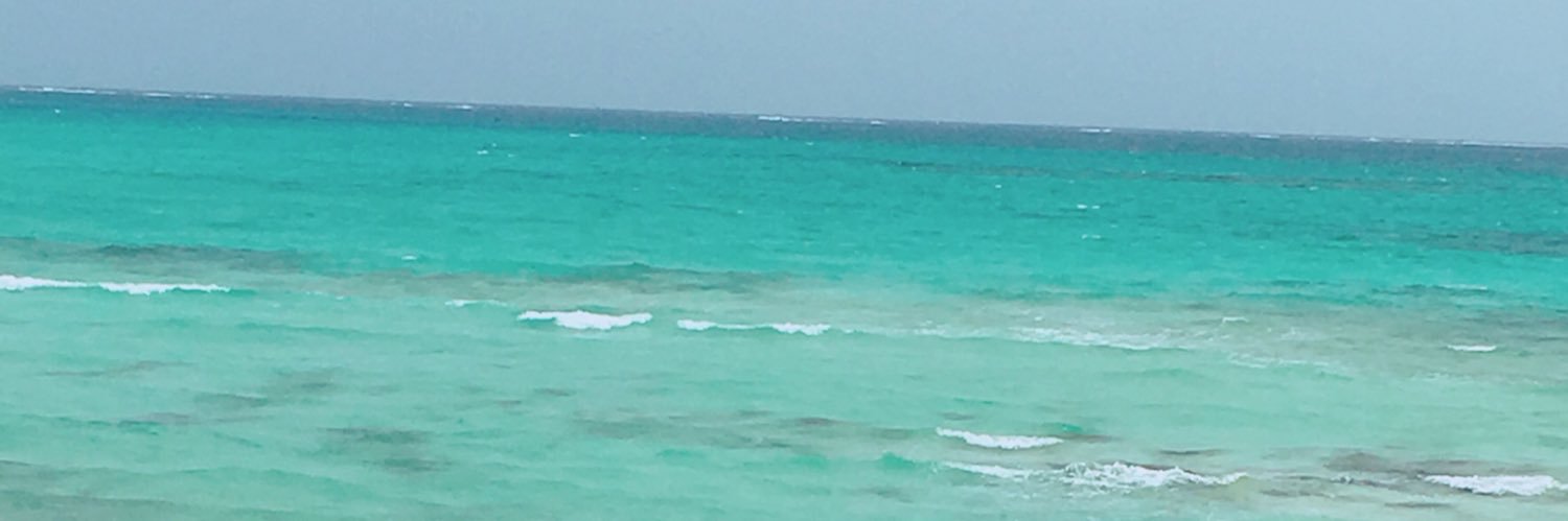 hntn___'s profile banner image