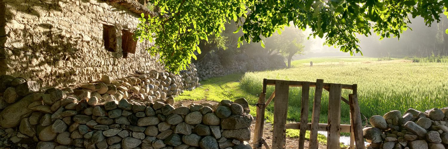 Basharat Issa banner