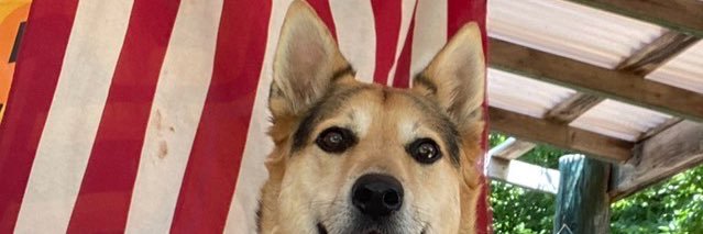 Brian banner