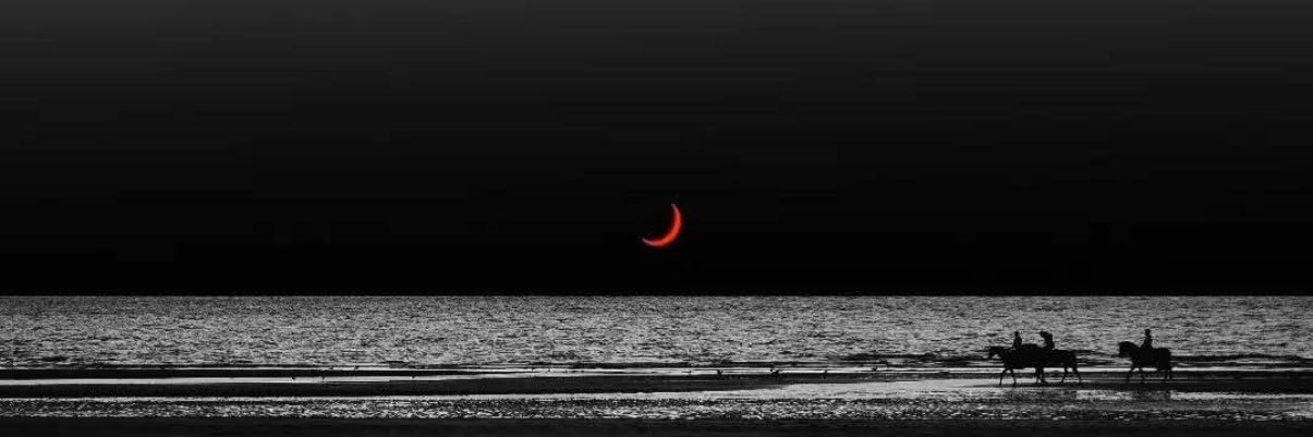 YoncaAksoy1's profile banner image