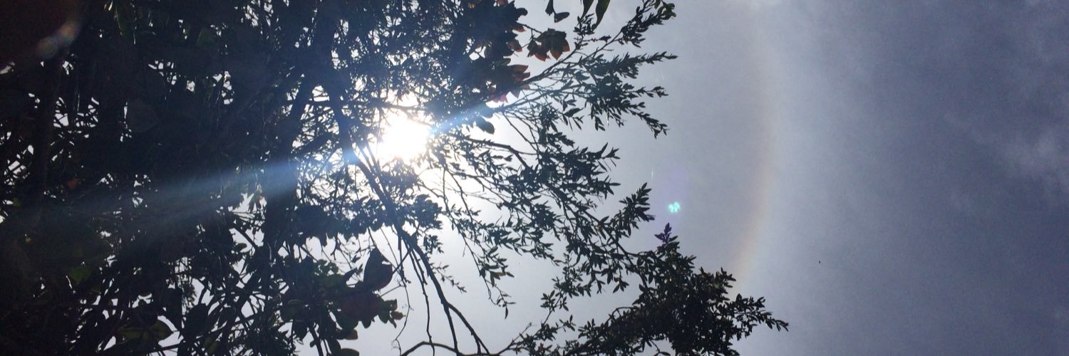 ninamaningg's profile banner image