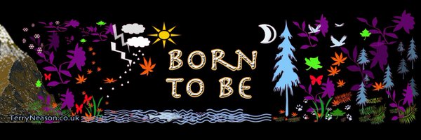 TerryNeason Profile Banner