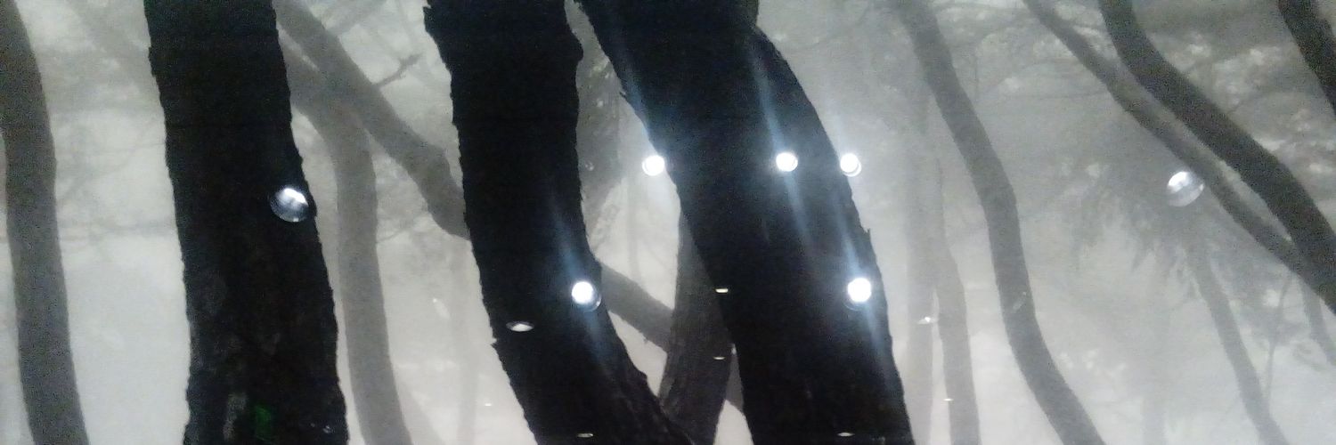 ShannonMConley's profile banner image
