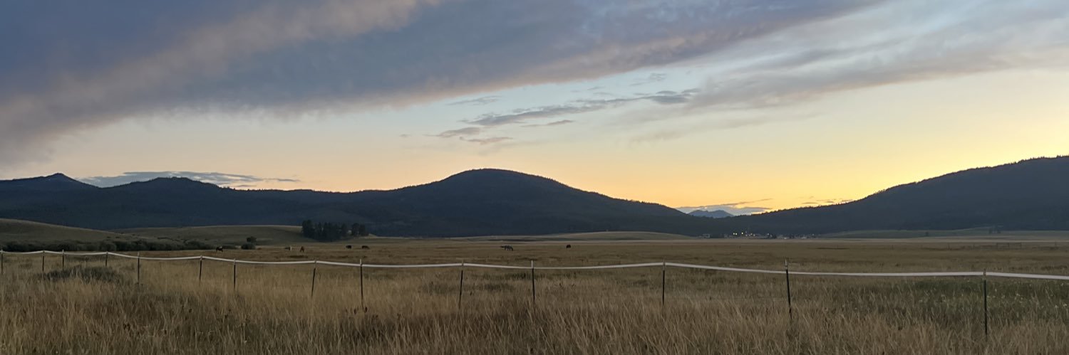 gillespie22's profile banner image