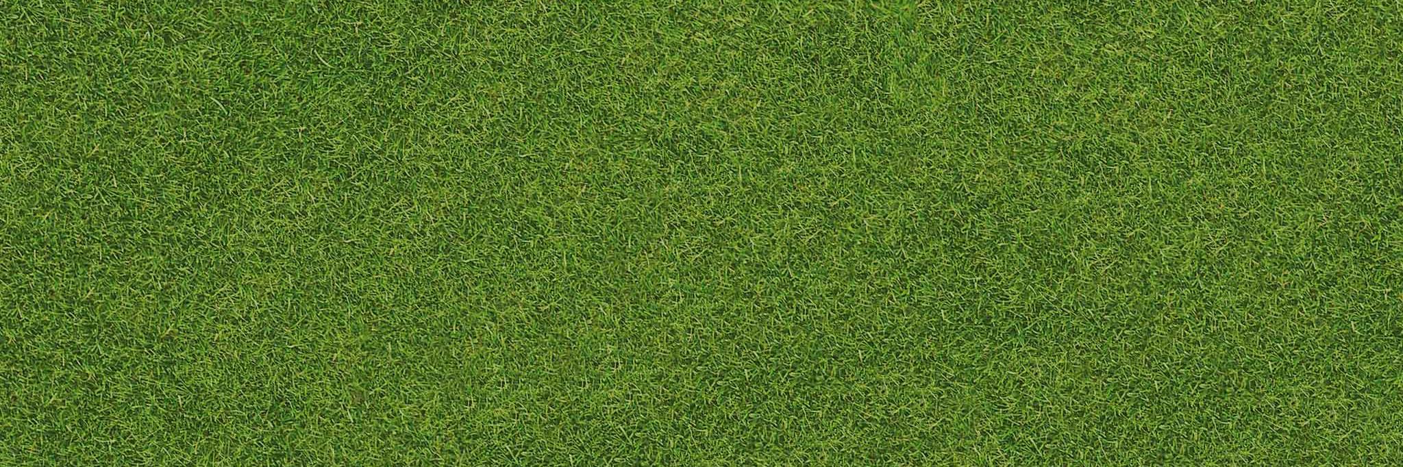 KarinGroot_'s profile banner image
