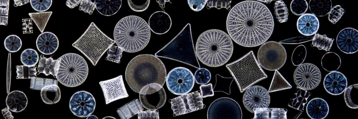 このすこーぷ banner