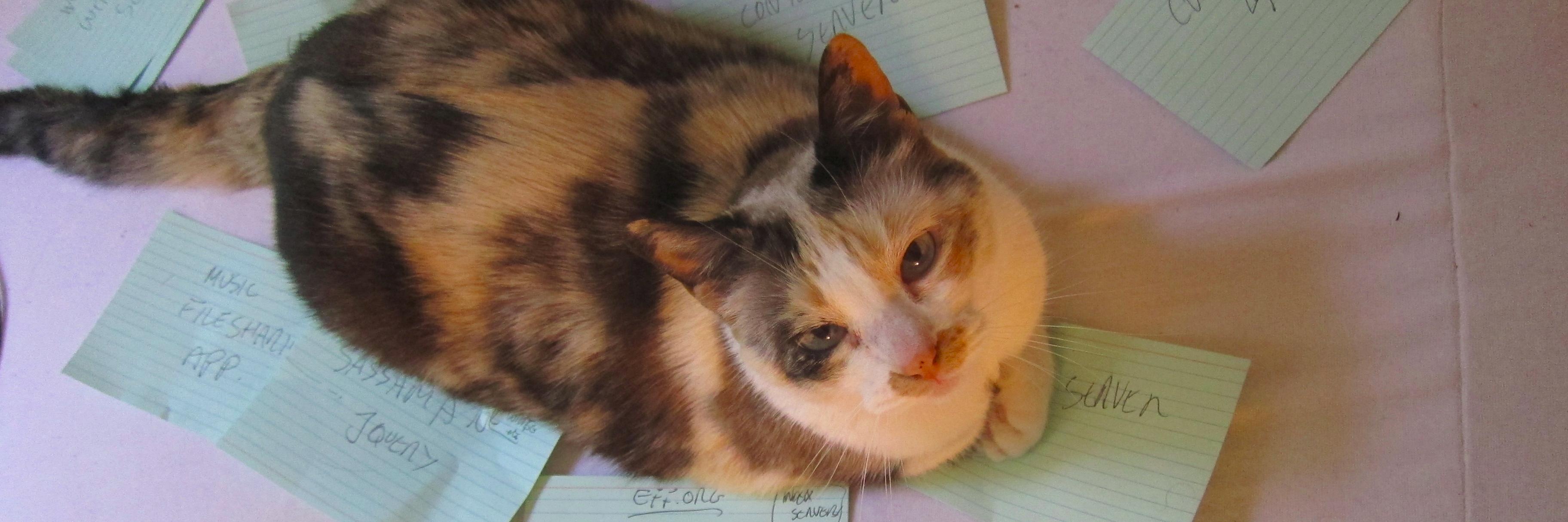 Danny O'Brien🤖 banner