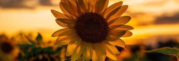 Racs_2612's profile banner image