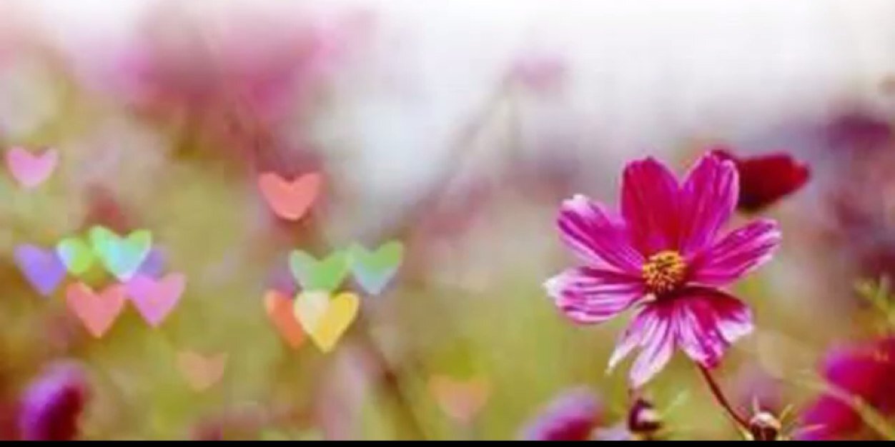 hessa223's profile banner image