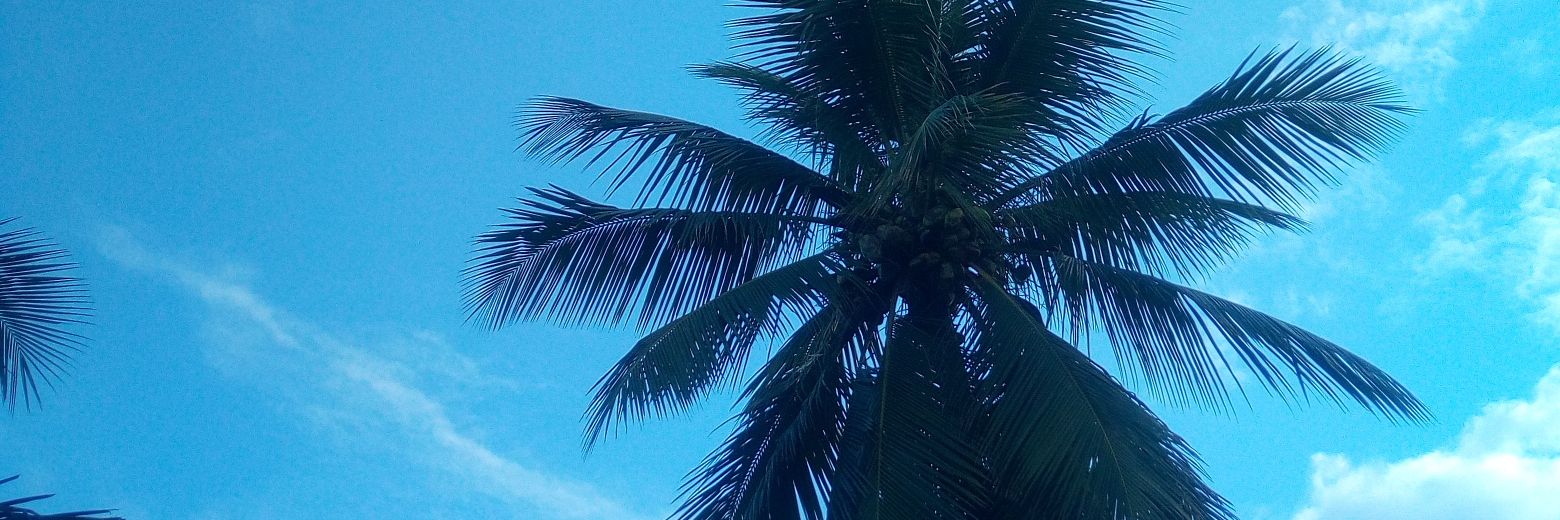 BintyAli's profile banner image