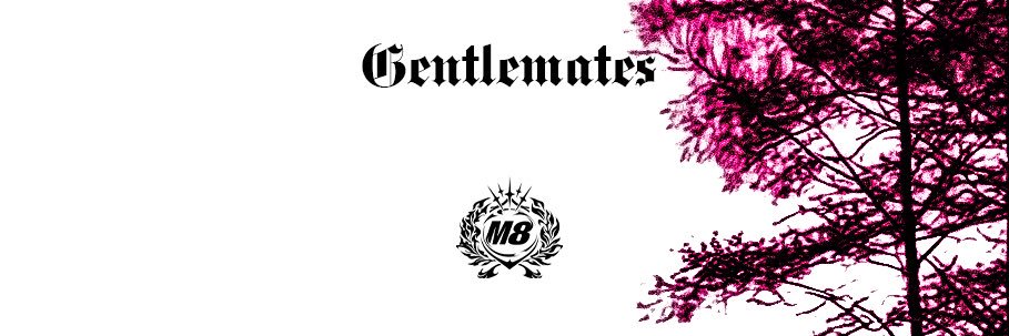 Y_Chemin's profile banner image