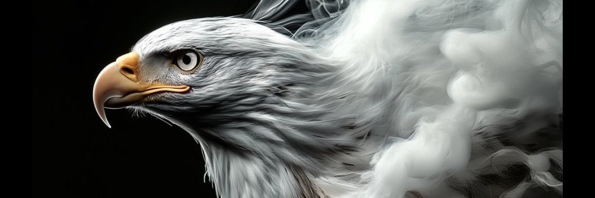 Top G banner