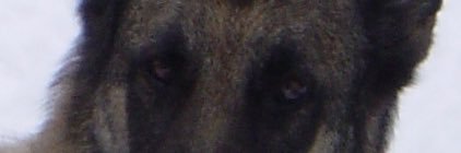 loops444's profile banner image