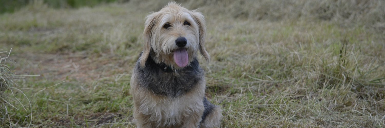 ☠︎︎𝕷𝖆𝖓𝖆 𝕹𝖎𝖈 𝕯𝖍𝖆𝖎𝖇𝖍é𝖎𝖉☠︎︎🇵🇸 banner