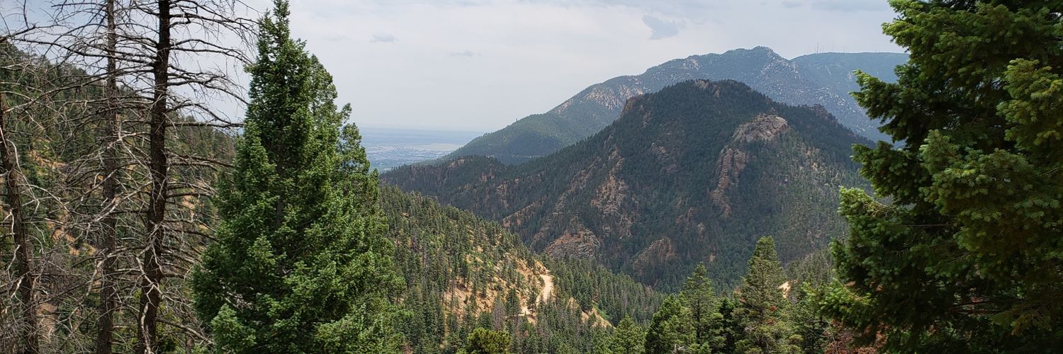 Nicoldenburg's profile banner image
