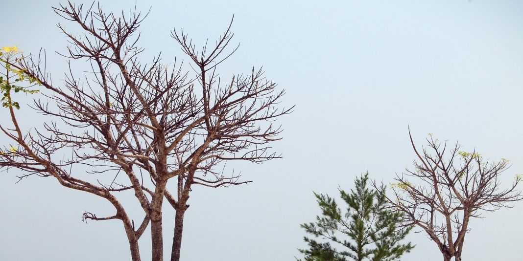 M_AndreSaputra's profile banner image