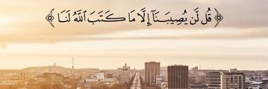 alkalbani4ever's profile banner image
