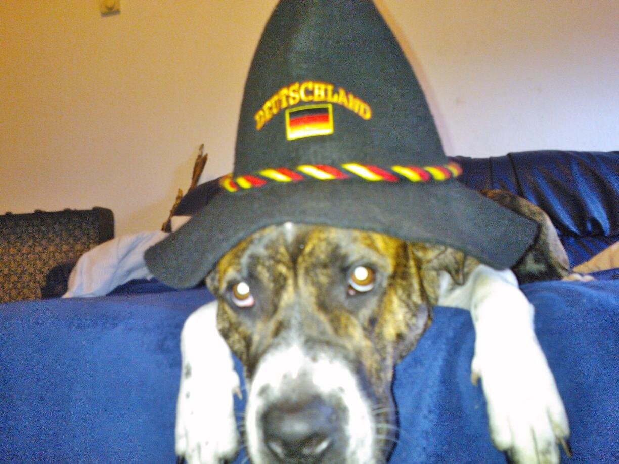 Kurt Lantermann 🇩🇪 🐾 banner