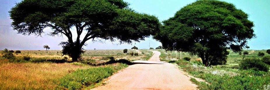 Njuki Githethwa banner