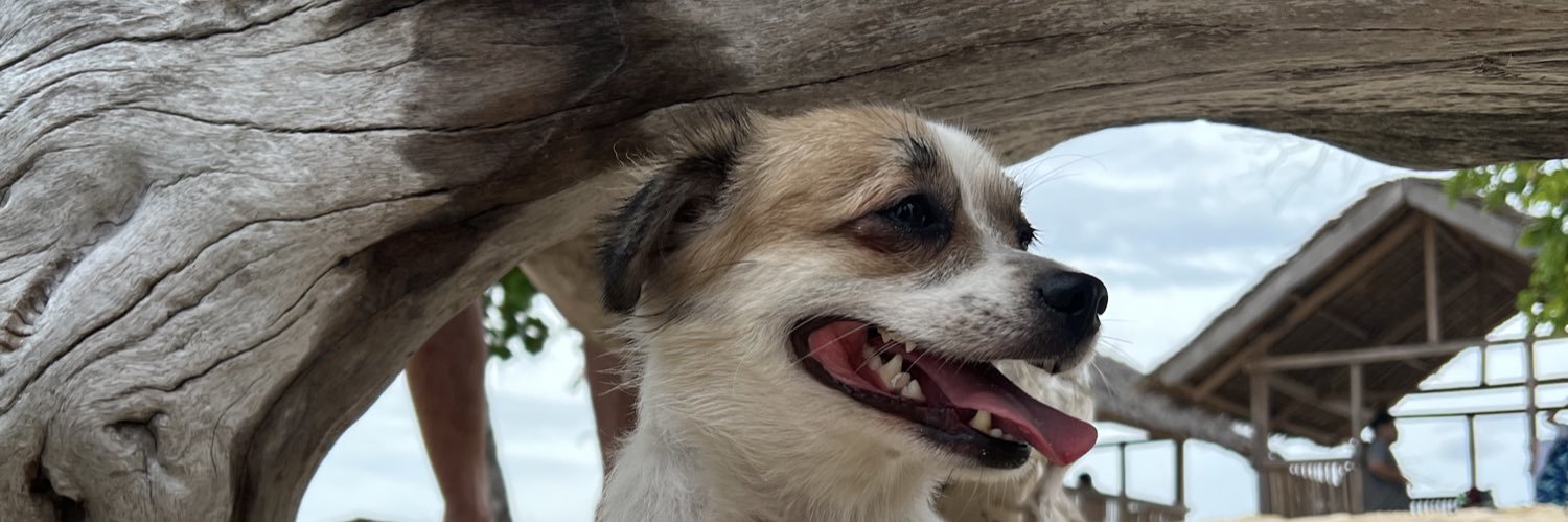 MaePsyche's profile banner image