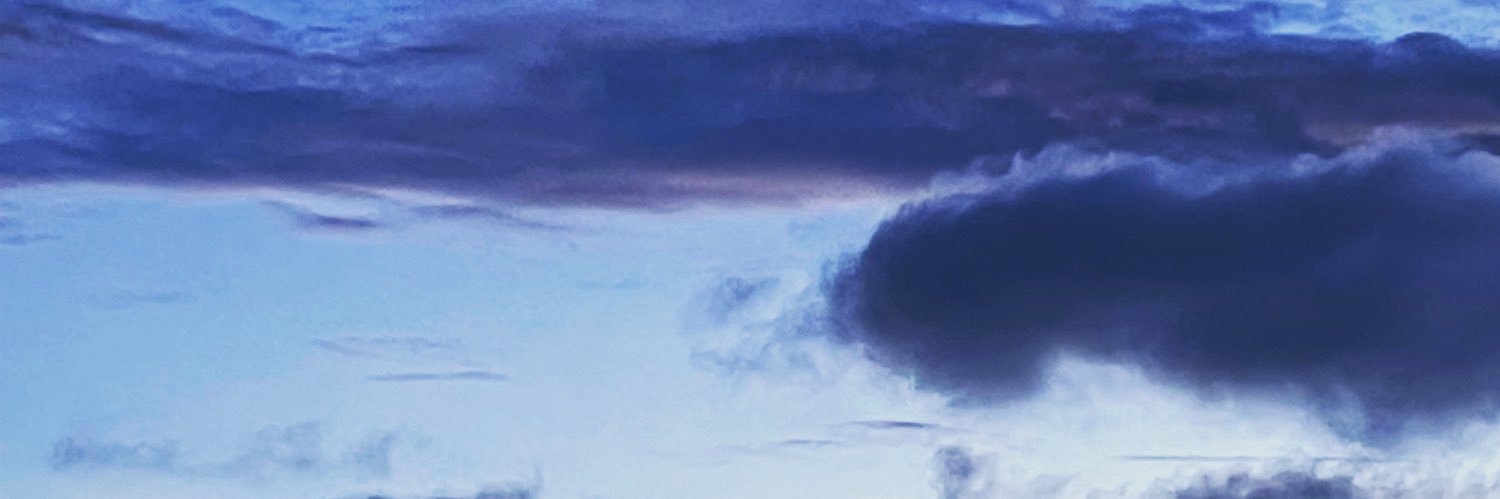 queenwillard's profile banner image