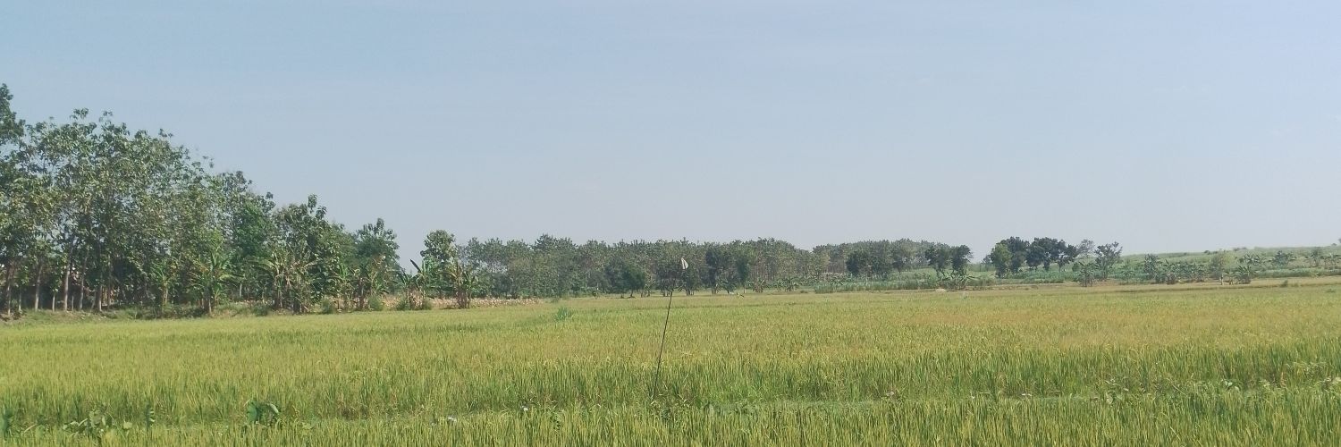 Hari banner