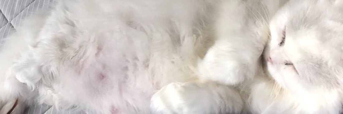 muraminmin's profile banner image