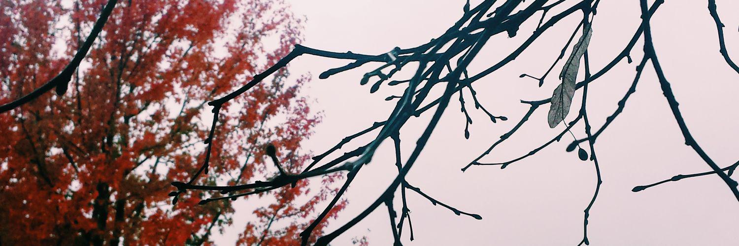 teresavalero12's profile banner image