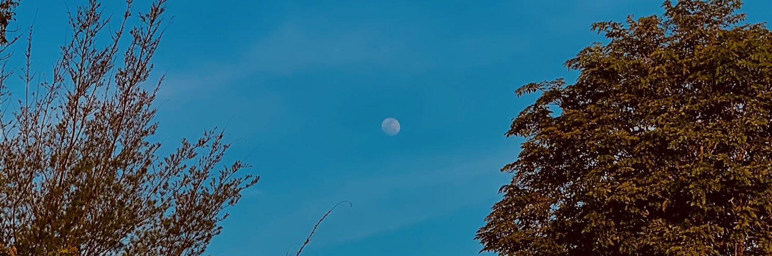 rsindew's profile banner image