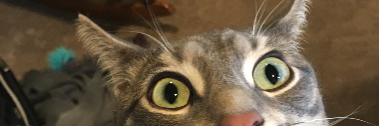 DoNotScott's profile banner image