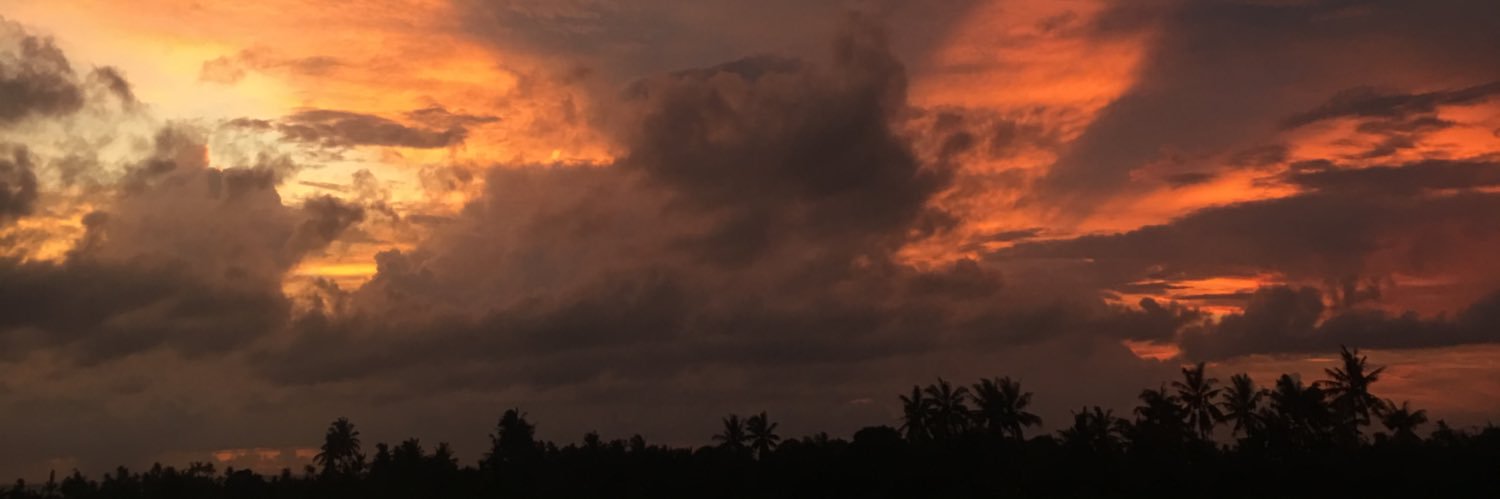 sylviaagustine's profile banner image
