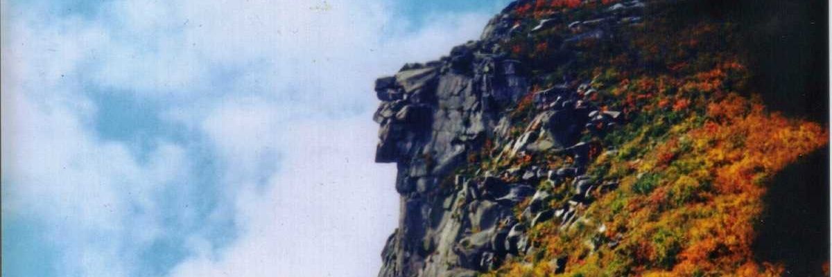themaximguy's profile banner image