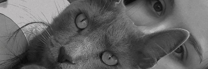 amok amok🧚‍♂️ banner