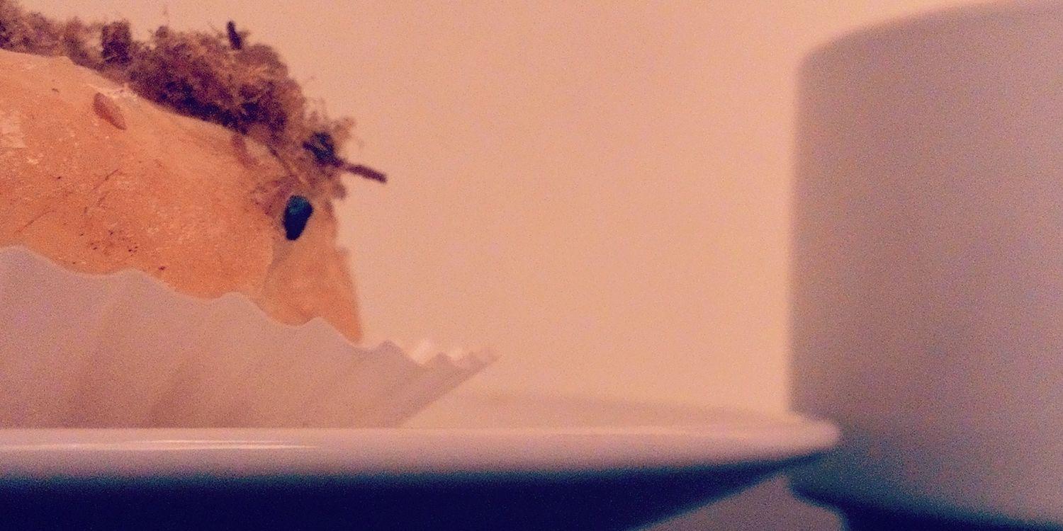 TweetsDimas's profile banner image