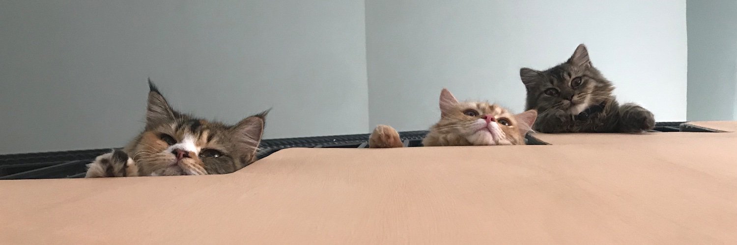 rayiiiifh's profile banner image