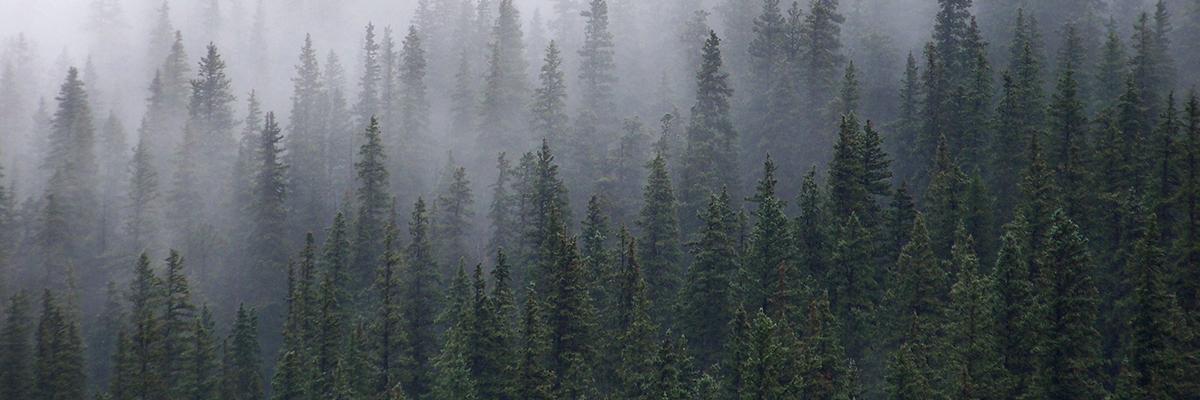 Megnut912's profile banner image