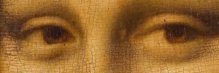 WagmiWolf's profile banner image