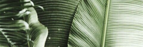MariaSwtm's profile banner image
