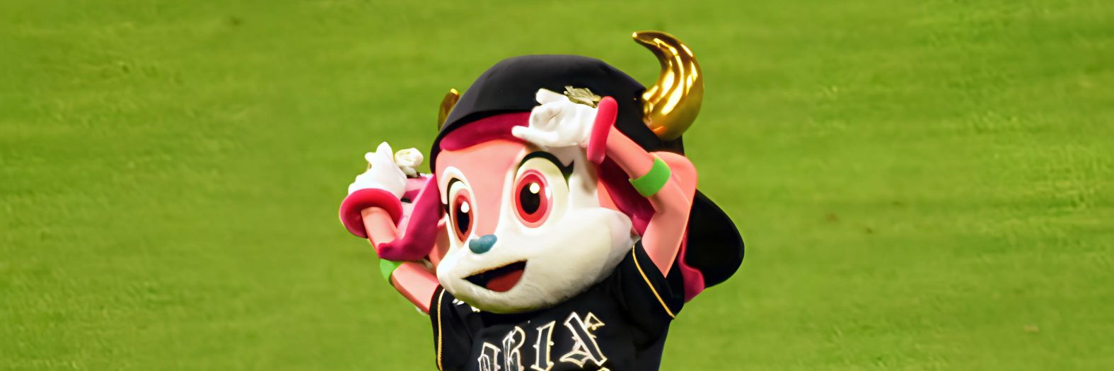 openepo's profile banner image