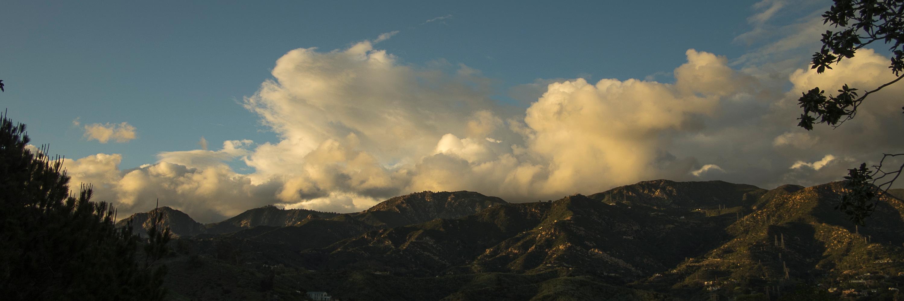 LPaulCook's profile banner image