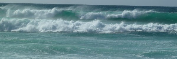 Lynncabrams Profile Banner
