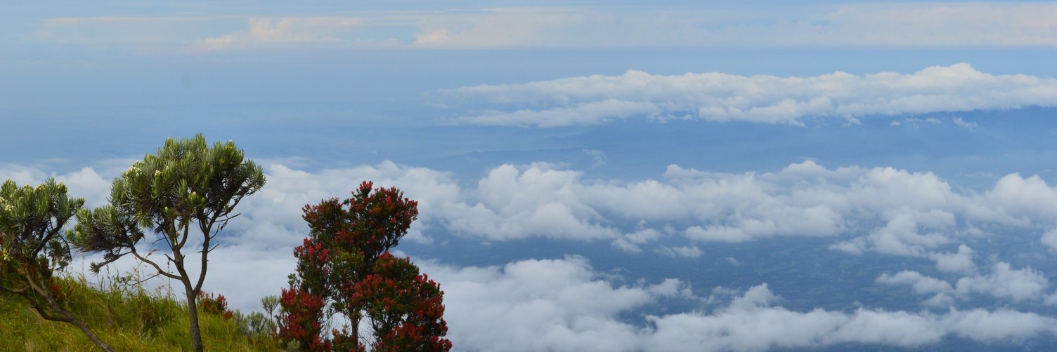 triossusilo's profile banner image