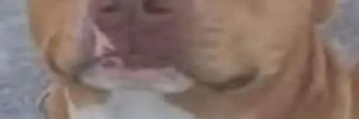 alekscoutts's profile banner image