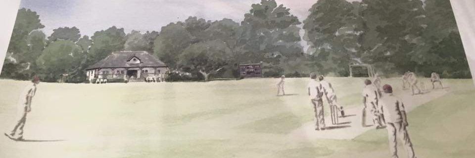 Bolney Cricket Club banner