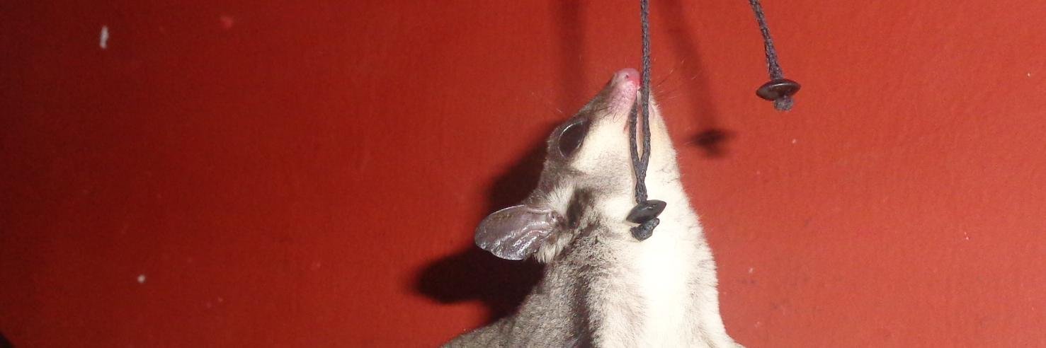 dimazca's profile banner image