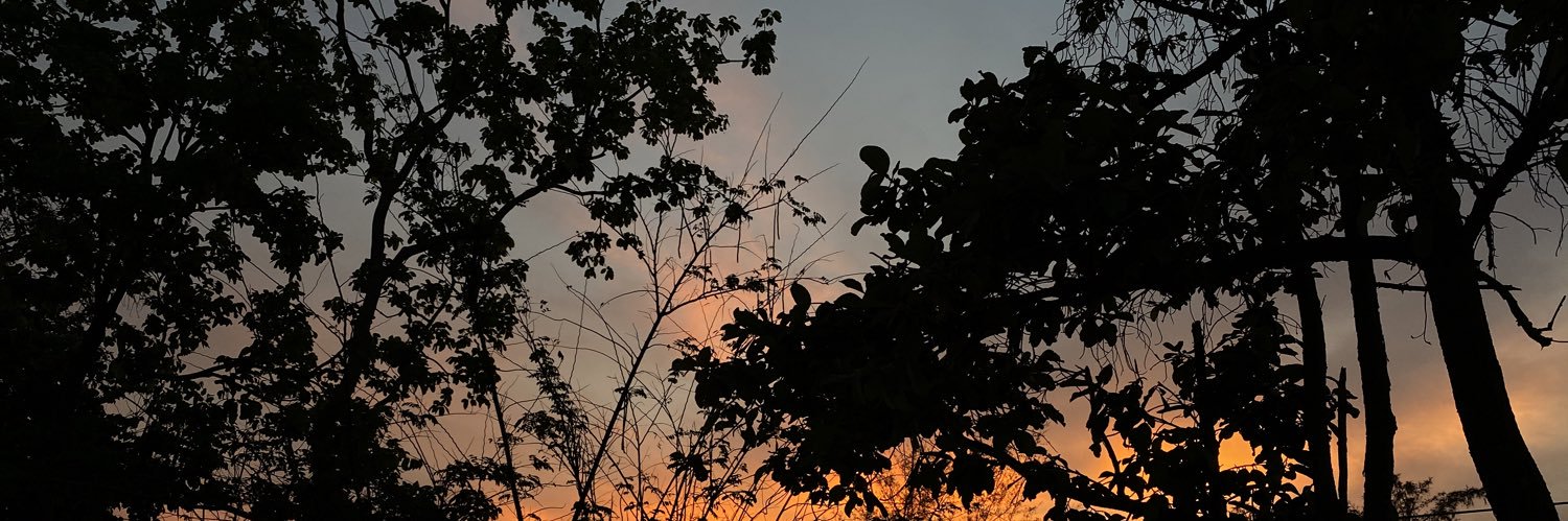_mthvr's profile banner image