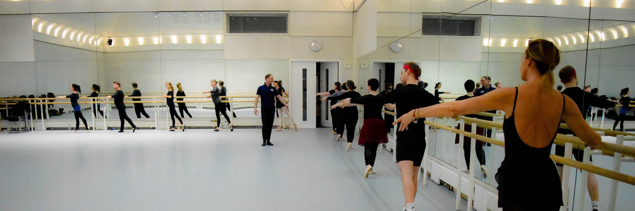 Everybody Ballet banner