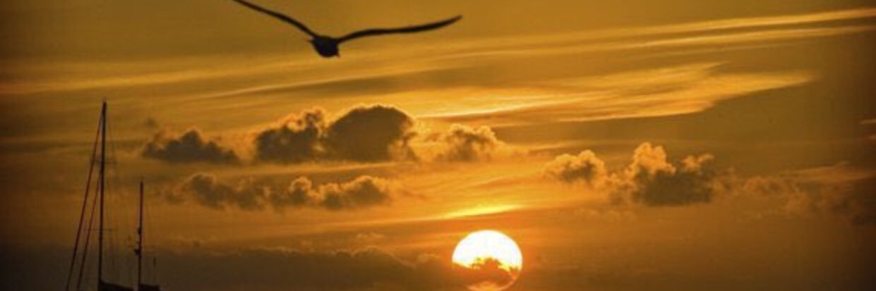 masqu1's profile banner image